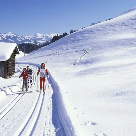 Fleckalm Kirchberg in Tirol
